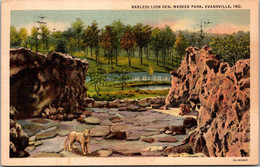 Indiana Evansville Mesker Park Barless Lion Den 1938 Curteich - Evansville