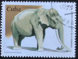 Cuba - C8/47 - (°)used - 1995 - Michel 3855 - Dierentuin Van Havana - Usati