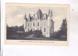 CPA DPT 86 VOUNEUIL SUR BIARD CHATEAU DES QUATRE VENTS - Vouneuil Sous Biard