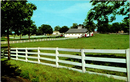 Kentucky Lexington Picturesque Horse Farm - Lexington
