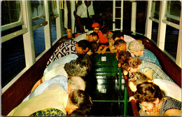 Florida Silver Springs Seeing Underwater Scenery Through Glass Bottom Boat 1957 - Silver Springs