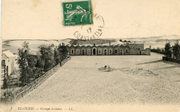 11724 Cpa Algérie - El Oued - Groupe Scolaire - El-Oued