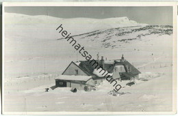 Damböckhaus Auf Dem Hochschneeberg - Foto-Ansichtskarte - Schneeberggebiet