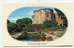 AK 048623 ENGLAND - Colchester - Lily Pond And Castle - Colchester