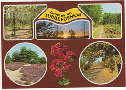 Groeten Uit Tubbergen (Ov.) - (Overijssel, Nederland / Holland) - Nr. F 4223 - Tubbergen