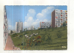 702. Viry Chatillon, Cilof - Viry-Châtillon