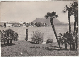 Suisse :  Isola Bella Vista Da Stresa-Borromeo - Tresa