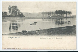 Liège-Herstal - La Meuse En Face Du Tir Communal - 1902 - Herstal