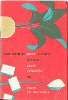Fascicule CEDUS: Comment Le Sucre Naturel Devient Sucre Cristallisé Ou Sucre En Morceaux - 24 Pages - Knutselen / Techniek