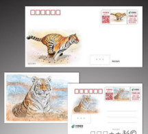 China 2022 ,The Chinese Zodiac Year Of The Tiger,Color Ts71 Postage Machine Postmark(ATM) With Tiger,1 Cover And 1 Postc - Nuevos