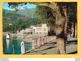 Luino (VA) - Viaggiata - Luino