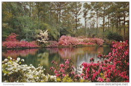 Alabama Mobile Bellingrath Gardens Mirror Lake 1957 - Mobile