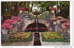 Alabama Mobile Bellingrath Gardens The Grotto 1956 - Mobile