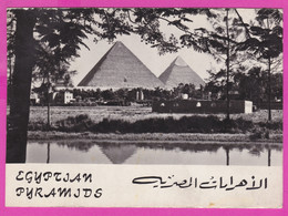 275199 / Egypt Eg 73 - Giza - Les Trois Pyramides Three Pyramids , Egypte Agypten Egitto Egipto - Piramiden
