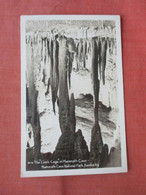 RPPC. The Lion's Cage In  Mammoth Cave Kentucky    Ref 5597 - Mammoth Cave