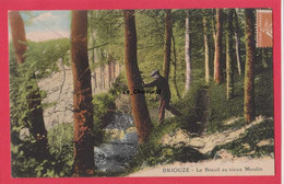 61 -  BRIOUZE----Le Breuil Au Vieux Moulins---animé---colorisée - Briouze