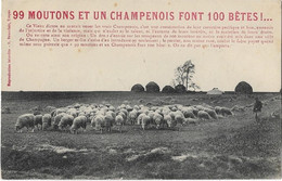 Champagne - Ardenne  -   99 Moputons  Et Un Champenois  Font 100 Betes - Champagne-Ardenne