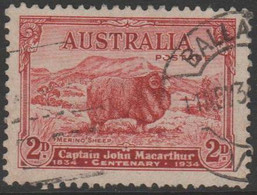 AUSTRALIA - USED 1934 2d Macarthur "Light Hills"- Merino Sheep - Oblitérés