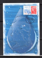 ✅ 2010 "  FDT : PROTEGEONS L'EAU " Sur Carte Maximum. N° YT 4439 CM - Umweltschutz Und Klima