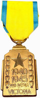 Médaille De L'Effort De Guerre Colonial / Medaille Voor De Koloniale Oorlogsinspanning - 1940-1945 - En Bronze - WWII - Belgio