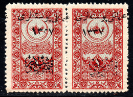 820.TURKEY IN ASIA.1921 HEJAZ RAILWAY  PAIR OVERPRINT VARIETIES MNH - 1920-21 Anatolia