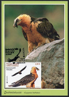 ANDORRA (2021) - Carte Maximum Card EUROPA Fauna, Gypaète, Trencalos, Quebrantahuesos, Gypaetus Barbatus Bearded Vulture - Altri & Non Classificati