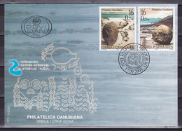 Yugoslavia Serbia & Montenegro 2003 International Danube Conference On Arts And Culture Historical Site FDC - Covers & Documents