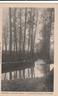 VOUNEUIL-sous-BIARD. - La Chaussée Du Moulin Au Printemps - Vouneuil Sous Biard