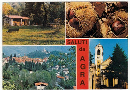 SALUTI DA AGRA - LUINO - VARESE - 1985 - VEDUTE - Luino