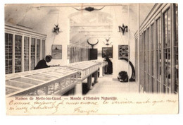 MELLE - Maison De Melle - Musée D' Histoire Naturelle - Verzonden In 1902 - Melle