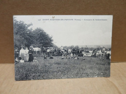 SAINT SAUVEUR EN PUISAYE (89) Agriculture Concours De Moissonneuses Beau Plan Animation - Saint Sauveur En Puisaye