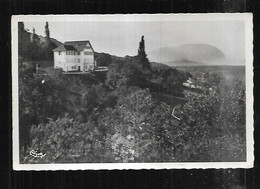 Cpsm 7437181 Saint-cergues Colonie D'enfants Au Fond Le Mont Salève - Saint-Cergues