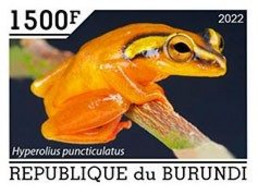Burundi 2022, Animals, Frog III, 1val IMPERFORATED - Neufs