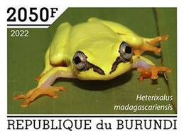 Burundi 2022, Animals, Frog IV, 1val IMPERFORATED - Neufs