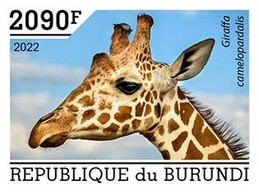 Burundi 2022, Animals, Giraffes V, 1val IMPERFORATED - Unused Stamps