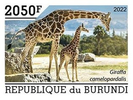 Burundi 2022, Animals, Giraffes IV, 1val IMPERFORATED - Unused Stamps