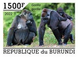 Burundi 2022, Animals, Gorilla III, 1val IMPERFORATED - Ongebruikt