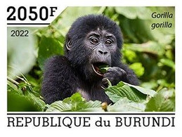 Burundi 2022, Animals, Gorillas II, 1val IMPERFORATED - Ongebruikt