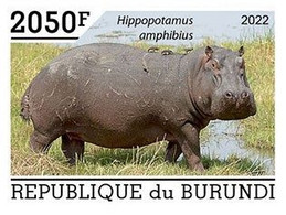 Burundi 2022, Animals, Hippo IV, 1val IMPERFORATED - Ongebruikt