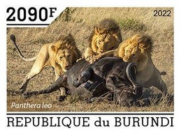 Burundi 2022, Animals, Lions V, 1val IMPERFORATED - Ungebraucht