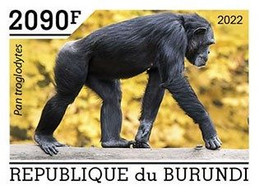 Burundi 2022, Animals, Monkey V, 1val IMPERFORATED - Gorilles