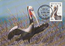 ANIMALS, BIRDS, BROWN PELICAN, CM, MAXICARD, CARTES MAXIMUM, OBLIT FDC, 1988, BRITISH VIRGIN ISLANDS - Pelícanos