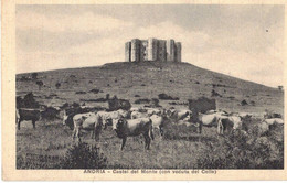 ANDRIA - CASTEL DEL MONTE  (BT) - Barletta