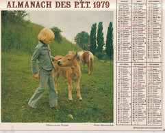 Almanach Du Facteur, Calendrier De La Poste,1979, Seine-Maritime: Chat Et Canard, Fabrice Et Son Poulain. - Grand Format : 1971-80