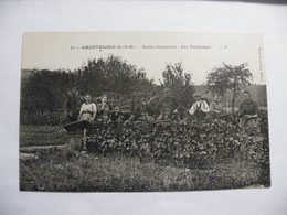 A505  .CPA. 78. CHANTELOUP. (Yvelines). Scène Champetre. Les Vendanges. Beau Plan Animé. Non Ecrite - Chanteloup Les Vignes