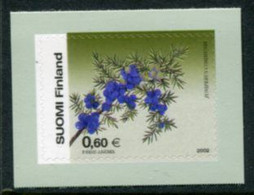 FINLAND 2002 Juniper  MNH / **.  Michel  1625 - Unused Stamps