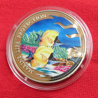 Solomon Islands 1 $ 2001 Fish Marine Life Set - Salomon