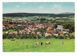 Luftkurort Gedern, Oberhessen, 1970er Jahre - Wetterau - Kreis