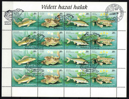 Hungary 1997. Animals / Fishes Nice Full Sheet, Used / Nice Cancelling! - Oblitérés