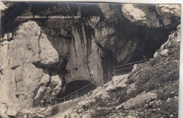 B2340) OBERTRAUN - Eishöhlen Eingang - Sehr Alte FOTO AK -. Gemeindeamt Obertraun 1929 - Traun